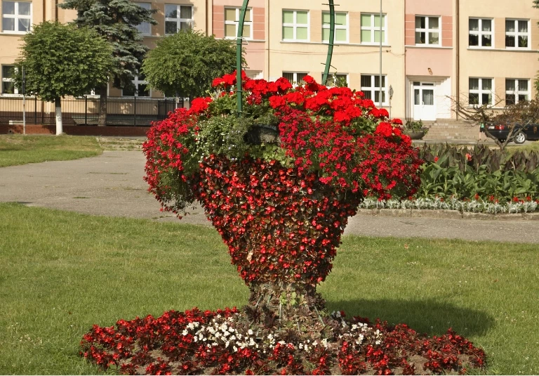 Rzeźba z kwiatów